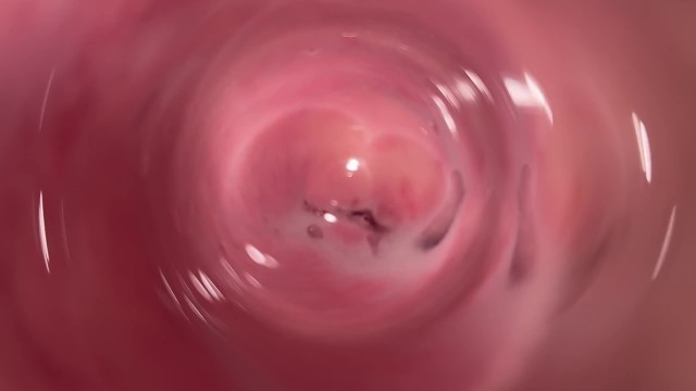 Internal Camera inside Tight Creamy Vagina, Dick's POV