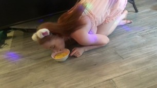 Kennel Kitty Finds her BBC Master