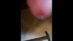 Princesses Milk