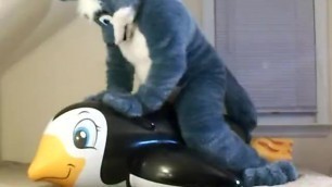 Husky Yiffs Penguin 2