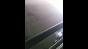 Bronx River under the Bridge