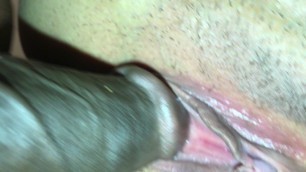 Fat Cock he Gat: Fat Ass BBW always Triggers my Cock, I could Fuck her 24,7