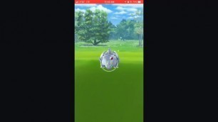 Pokemon go Stream Gets Ruined by Boobies