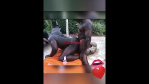 Stepsister getting Caught Sucking Daddys Dick