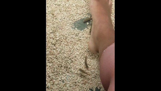 Doctor Fish Treatment