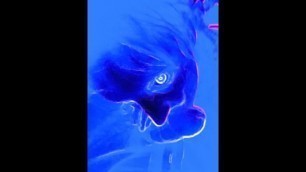 Neon Demon Pussy Licking Big Dick AZAZEL FIREFLY