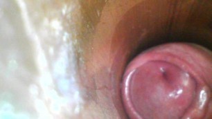 vacuum cleaner internal suck and cum